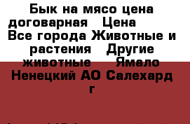 Бык на мясо цена договарная › Цена ­ 300 - Все города Животные и растения » Другие животные   . Ямало-Ненецкий АО,Салехард г.